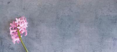 简约线条头像