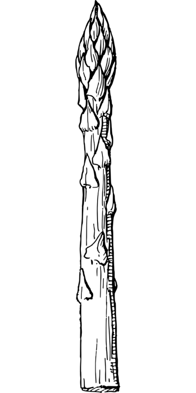 简约线条头像