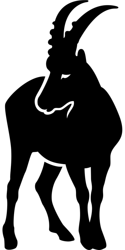 简约线条头像