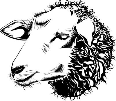 简约线条头像