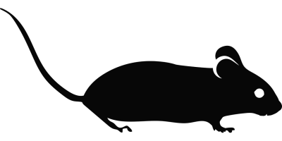 简约线条头像