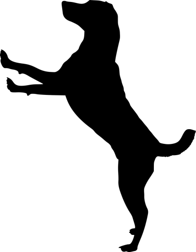 简约线条头像