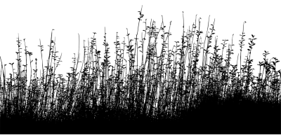 简约线条头像