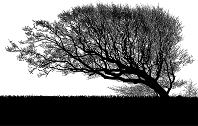 简约线条头像