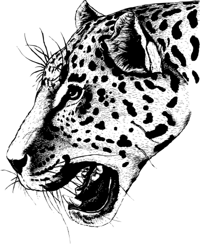 简约线条头像