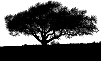 简约线条头像