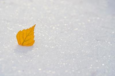 简约线条头像