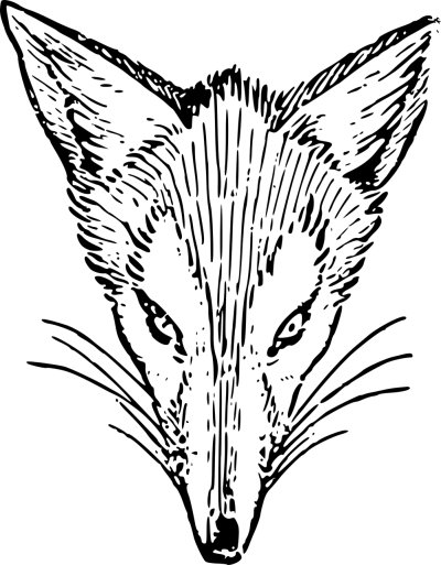 萌宠动物头像