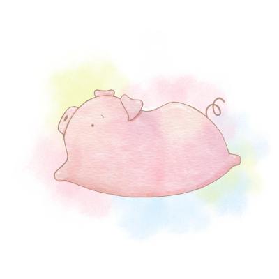 萌宠动物头像