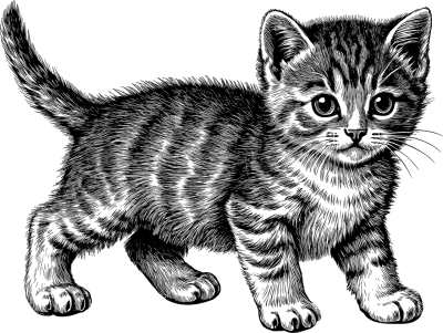 萌宠动物头像