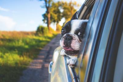 真人写真头像