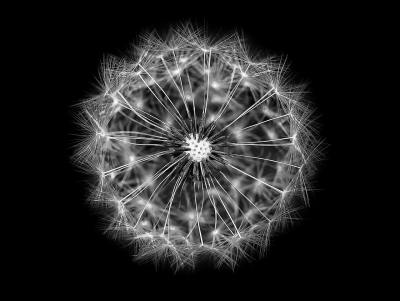 真人写真头像