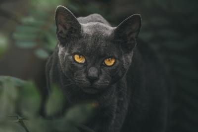 真人写真头像
