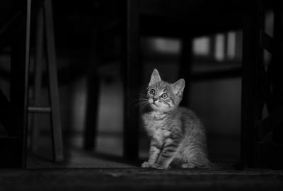 真人写真头像