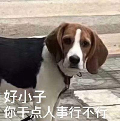 表情包头像