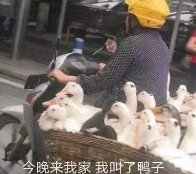 表情包头像