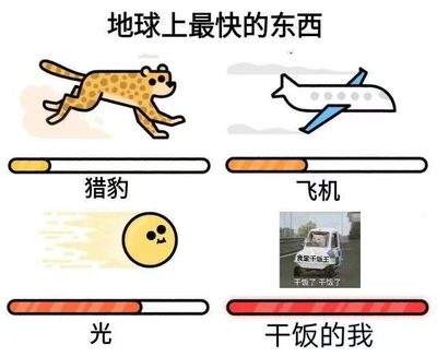 表情包头像