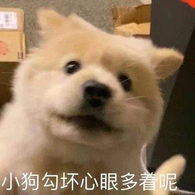 表情包头像