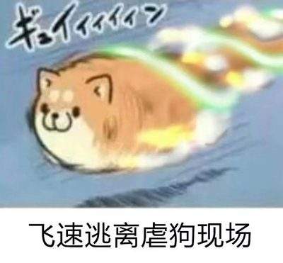 表情包头像