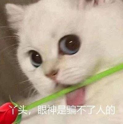 表情包头像