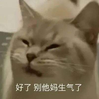 表情包头像