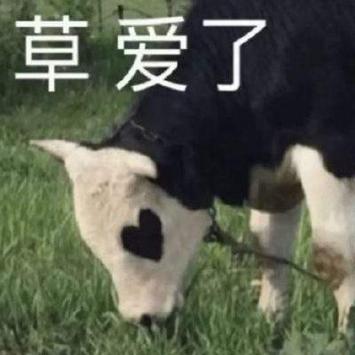 表情包头像
