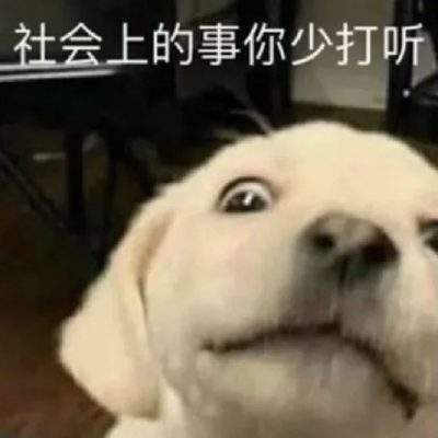 表情包头像