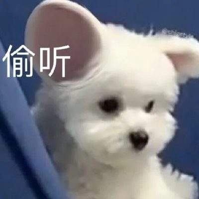 表情包头像