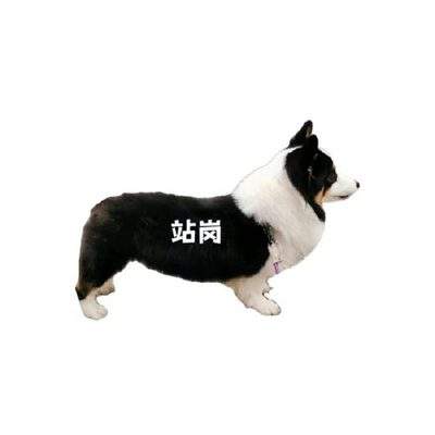 表情包头像