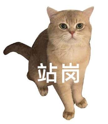 表情包头像