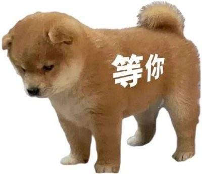 表情包头像