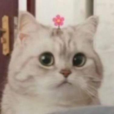 表情包头像