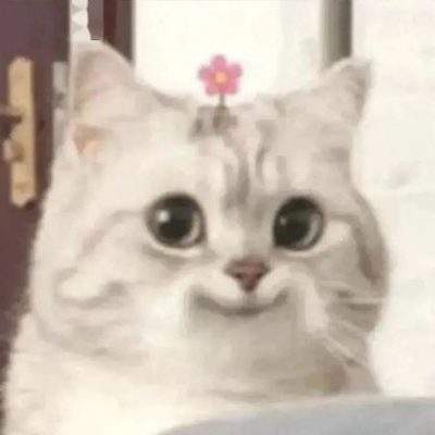 表情包头像