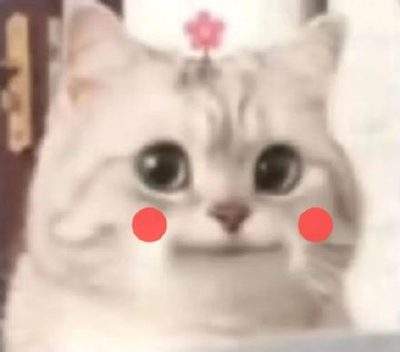 表情包头像