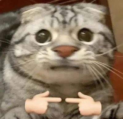 表情包头像