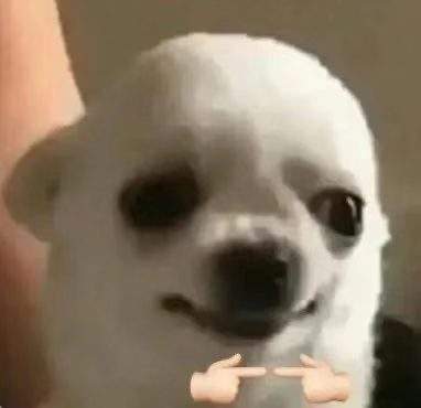 表情包头像