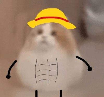 表情包头像