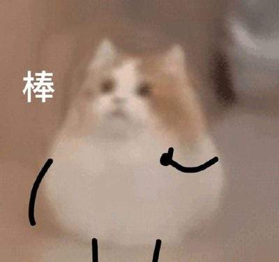 表情包头像