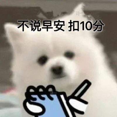 表情包头像