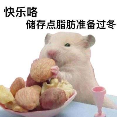 表情包头像