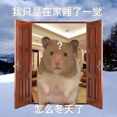 表情包头像