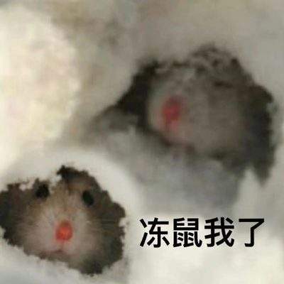 表情包头像