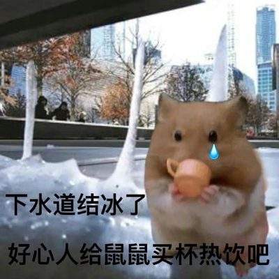 表情包头像