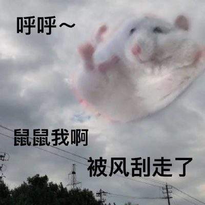 表情包头像