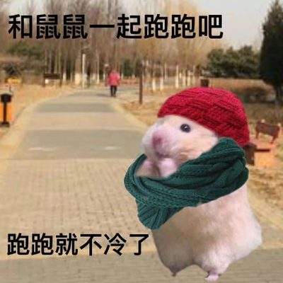 表情包头像