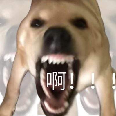 表情包头像