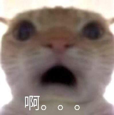 表情包头像