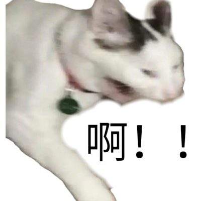 表情包头像