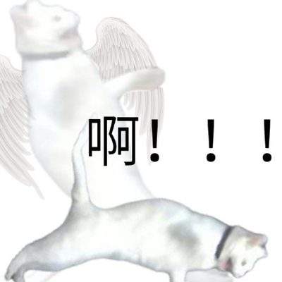 表情包头像