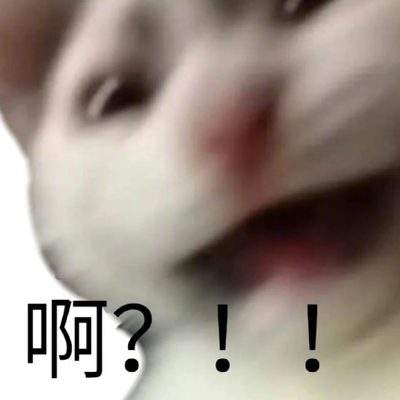 表情包头像